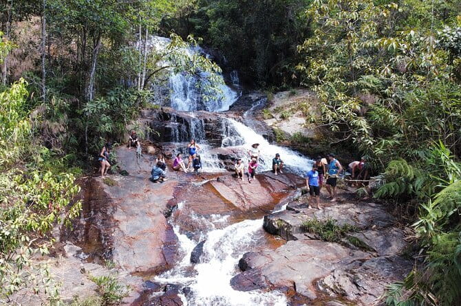 Trekking Tour to Hidden Waterfall & Sturgeon Farm for dog-lovers - Twin Beans Farm Starts the Day in the Forest (with 7 Dogs)