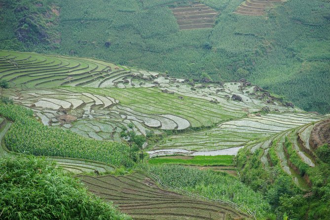 Ultimate Sapa Motorbike Tour: Villages & Waterfalls - Why Riding With Drivers Beats Hiking (Even if You Don’t Ride)