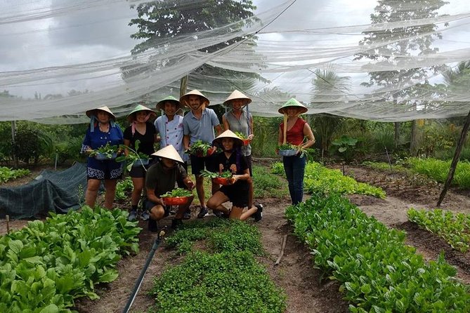 Unique farm to Table cooking class in Saigon - The organic farm walk: greeting the farmer and learning the plants