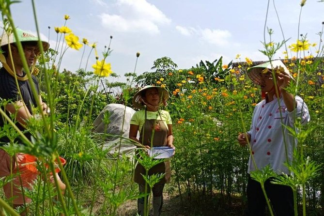 Unique farm to Table cooking class in Saigon - Harvest-to-kitchen: how the class stays hands-on (and not overwhelming)