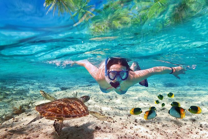 V.I.P Snorkeling & Fishing Tour ( Speed Boat ) Minimum 02 people - Key Highlights Worth Marking on Your Day