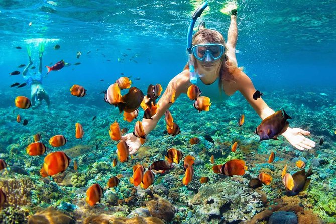 V.I.P Snorkeling & Fishing Tour ( Speed Boat ) Minimum 02 people - Final Call: Should You Book This Nha Trang VIP Tour?