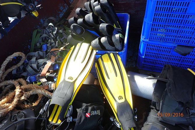 V.I.P Snorkeling & Fishing Tour ( Speed Boat ) Minimum 02 people - Hon Mun Island Snorkeling: A Marine Protected-Area Water Break