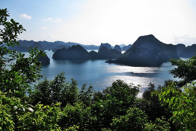 V Spirit Cruises Halong Bay 2 Days/1 Night 5 Star - The onboard package: cabins, A/C, bathrooms, and meals that save your day