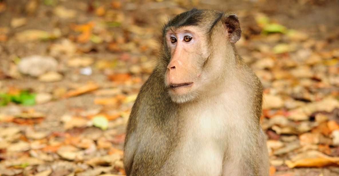 Vam Sat Mangrove Forest Private Tour from Ho Chi Minh City - Key highlights