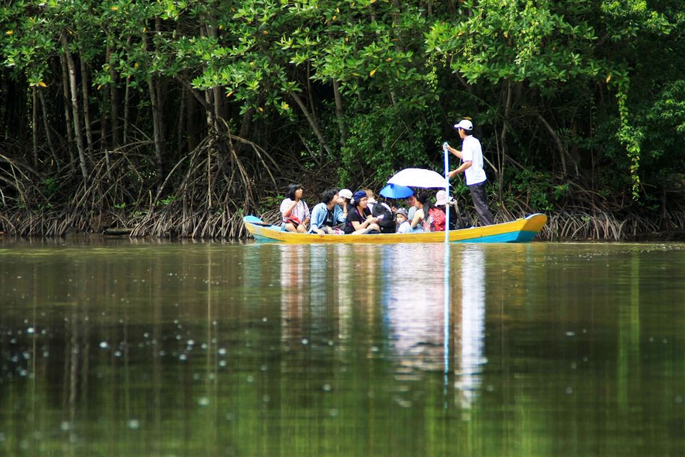 Vam Sat Mangrove Forest Private Tour from Ho Chi Minh City - Giant Bat Lagoon by rowboat: quiet water, big energy