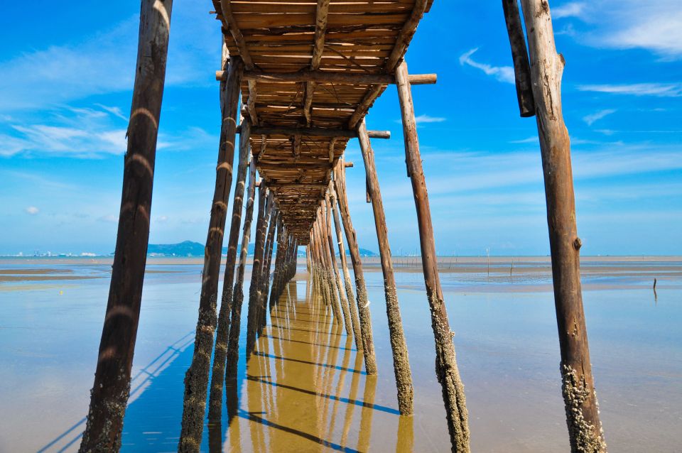 Vam Sat Mangrove Forest Private Tour from Ho Chi Minh City - Crocodile reserve and optional feeding with a fishing rod
