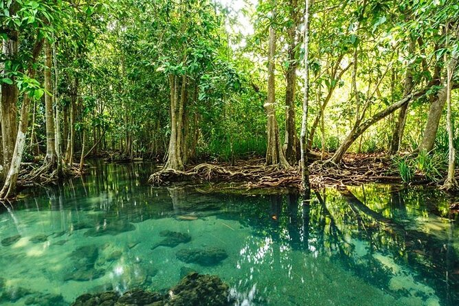 Vam Sat Mangrove Forest - VIP Private Tour - The 26-meter ascent and viewpoints: stretch your legs, get better angles