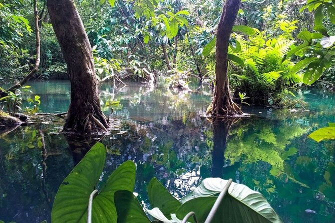 Vam Sat Mangrove Forest - VIP Private Tour - Timing, comfort, and the included restaurant meal