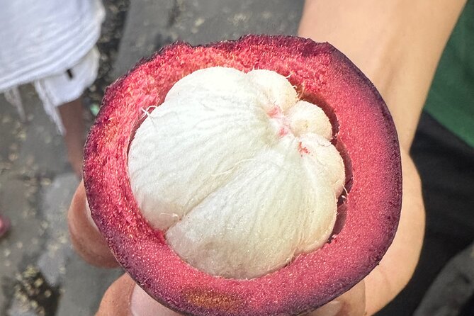 Vegan Food Tour - Untold Stories of Hoi An - Alleys, market lanes, and an old bakery stop