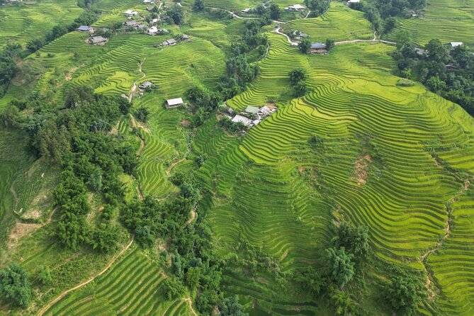 Viet Nam Package Tours - Adventure Indochina Travel - Day 5: The Hanoi to Da Nang Flight and a Day to Yourself