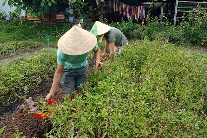 Vietnamese Cooking Class and Cu Chi Tunnels Tour from Ho Chi Minh City - Rubber tree plantation and the farm stop: agriculture you can see