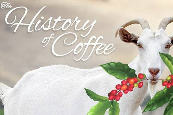Vietnamese Culture and Coffee Making Class - Why the pacing matters (and how to handle the caffeine)