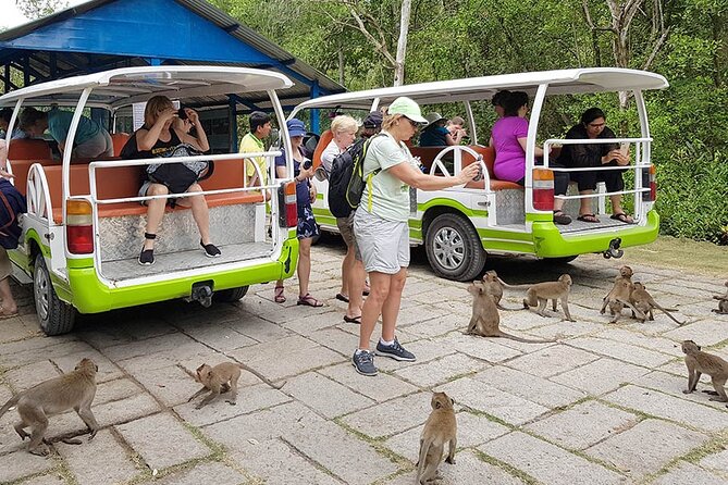 VIP Tour in Vam Sat: Can Gio Mangrove Forest by SpeedBoat - Saigon River to Vam Sat: Why This Speedboat Part Matters