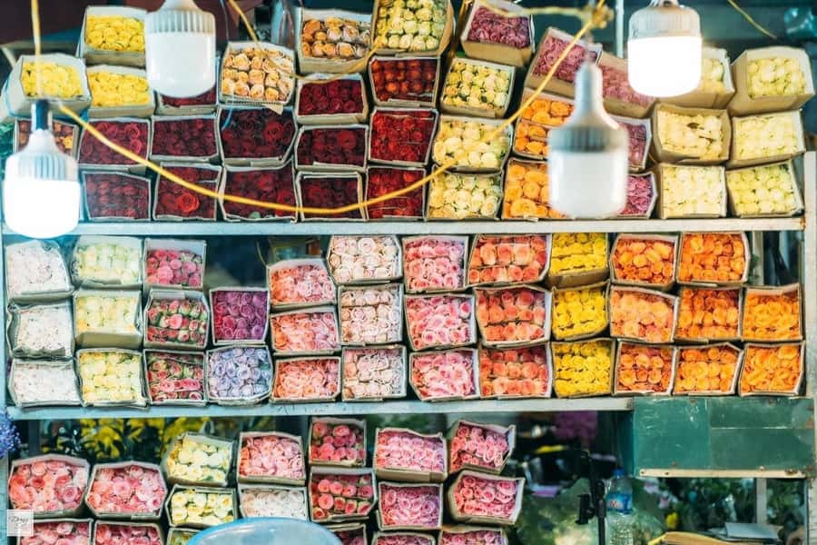 Visit 5 Districts & The Hidden Gems In Saigon By Motorbike - What you really get for $34: value, inclusions, and the private-group advantage