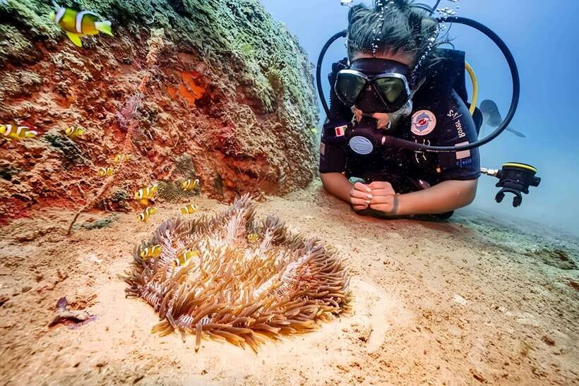 Visit Cham Islands & Snorkelling & Scuba Diving - Key highlights to know before you book