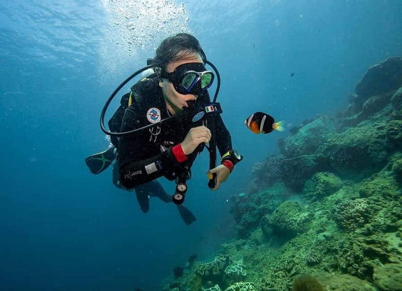 Visit Cham Islands & Snorkelling & Scuba Diving - Seafood lunch: good value, but take care with your stomach