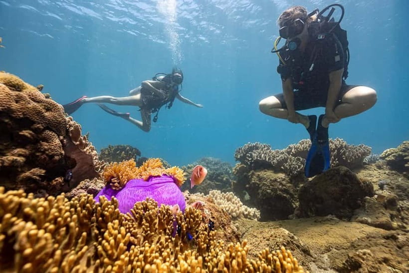 Visit Cham Islands & Snorkelling & Scuba Diving - Price and value: $32 covers a lot, but check the add-ons