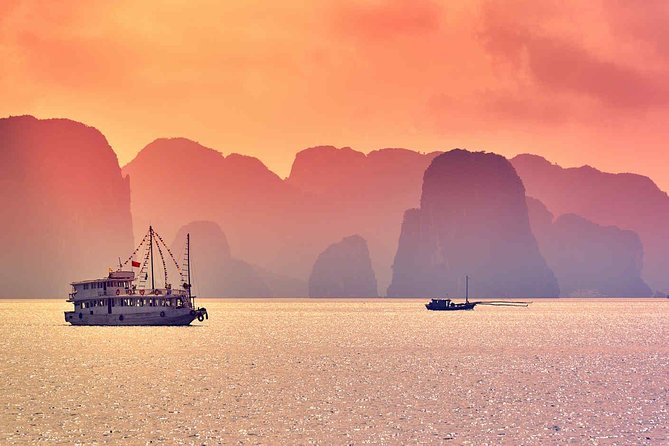 Wellness Detox Journey In Vietnam - Days 6 and 7 at Alba: yoga/fitness, biking warmups, and zipline & highwire